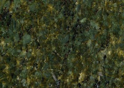 seaweed-green-t1